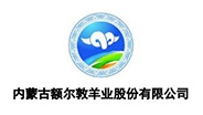 內蒙古額敦羊業(yè)股份有限公司